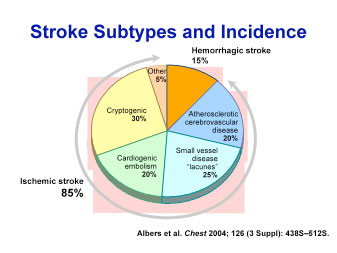 Stroke Subtypes and Incidence